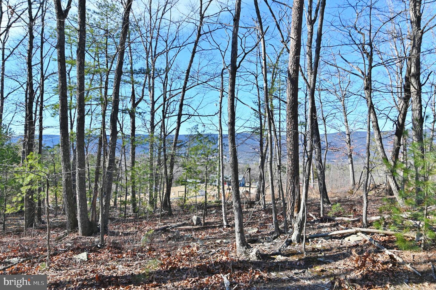 JEROME RD, EDINBURG, Virginia 22824, ,Land,For sale,JEROME RD,VASH2013356 MLS # VASH2013356