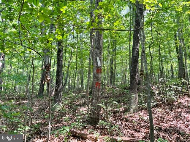 2016 VAUGHN SUMMIT RD, LURAY, Virginia 22835, ,Land,For sale,2016 VAUGHN SUMMIT RD,VAPA2005882 MLS # VAPA2005882