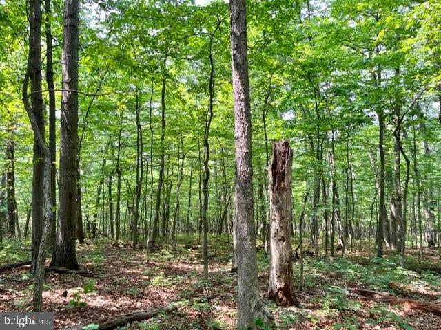 2016 VAUGHN SUMMIT RD, LURAY, Virginia 22835, ,Land,For sale,2016 VAUGHN SUMMIT RD,VAPA2005882 MLS # VAPA2005882