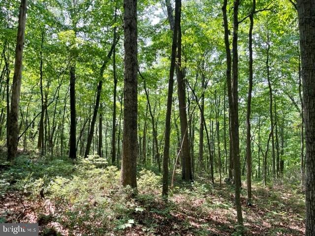 2016 VAUGHN SUMMIT RD, LURAY, Virginia 22835, ,Land,For sale,2016 VAUGHN SUMMIT RD,VAPA2005882 MLS # VAPA2005882