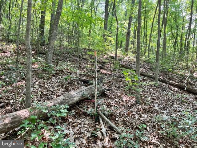 2016 VAUGHN SUMMIT RD, LURAY, Virginia 22835, ,Land,For sale,2016 VAUGHN SUMMIT RD,VAPA2005882 MLS # VAPA2005882