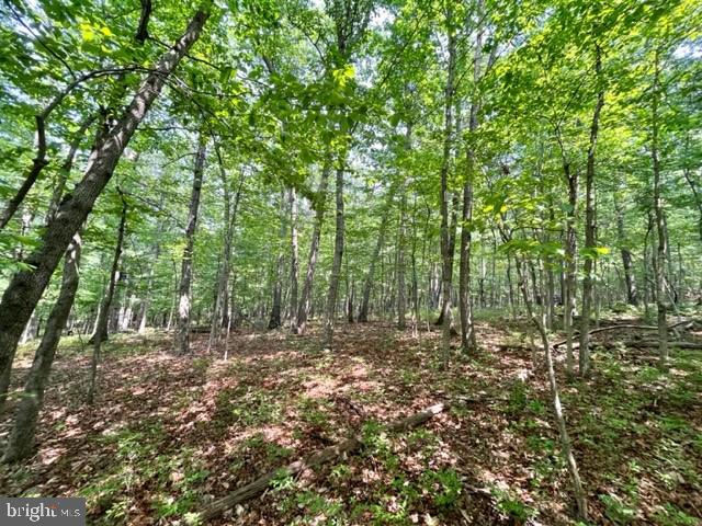 2016 VAUGHN SUMMIT RD, LURAY, Virginia 22835, ,Land,For sale,2016 VAUGHN SUMMIT RD,VAPA2005882 MLS # VAPA2005882