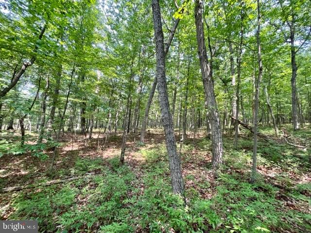 2016 VAUGHN SUMMIT RD, LURAY, Virginia 22835, ,Land,For sale,2016 VAUGHN SUMMIT RD,VAPA2005882 MLS # VAPA2005882