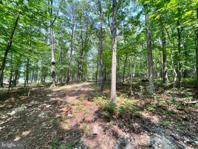 2016 VAUGHN SUMMIT RD, LURAY, Virginia 22835, ,Land,For sale,2016 VAUGHN SUMMIT RD,VAPA2005882 MLS # VAPA2005882