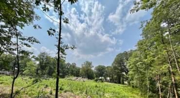 2016 VAUGHN SUMMIT RD, LURAY, Virginia 22835, ,Land,For sale,2016 VAUGHN SUMMIT RD,VAPA2005882 MLS # VAPA2005882
