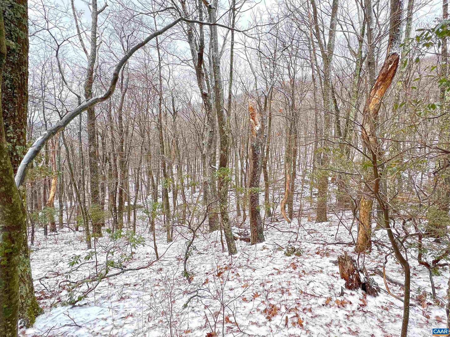 1843 WINTERGREEN DR, WINTERGREEN RESORT, Virginia 22967, ,Land,For sale,1843 WINTERGREEN DR,672447 MLS # 672447