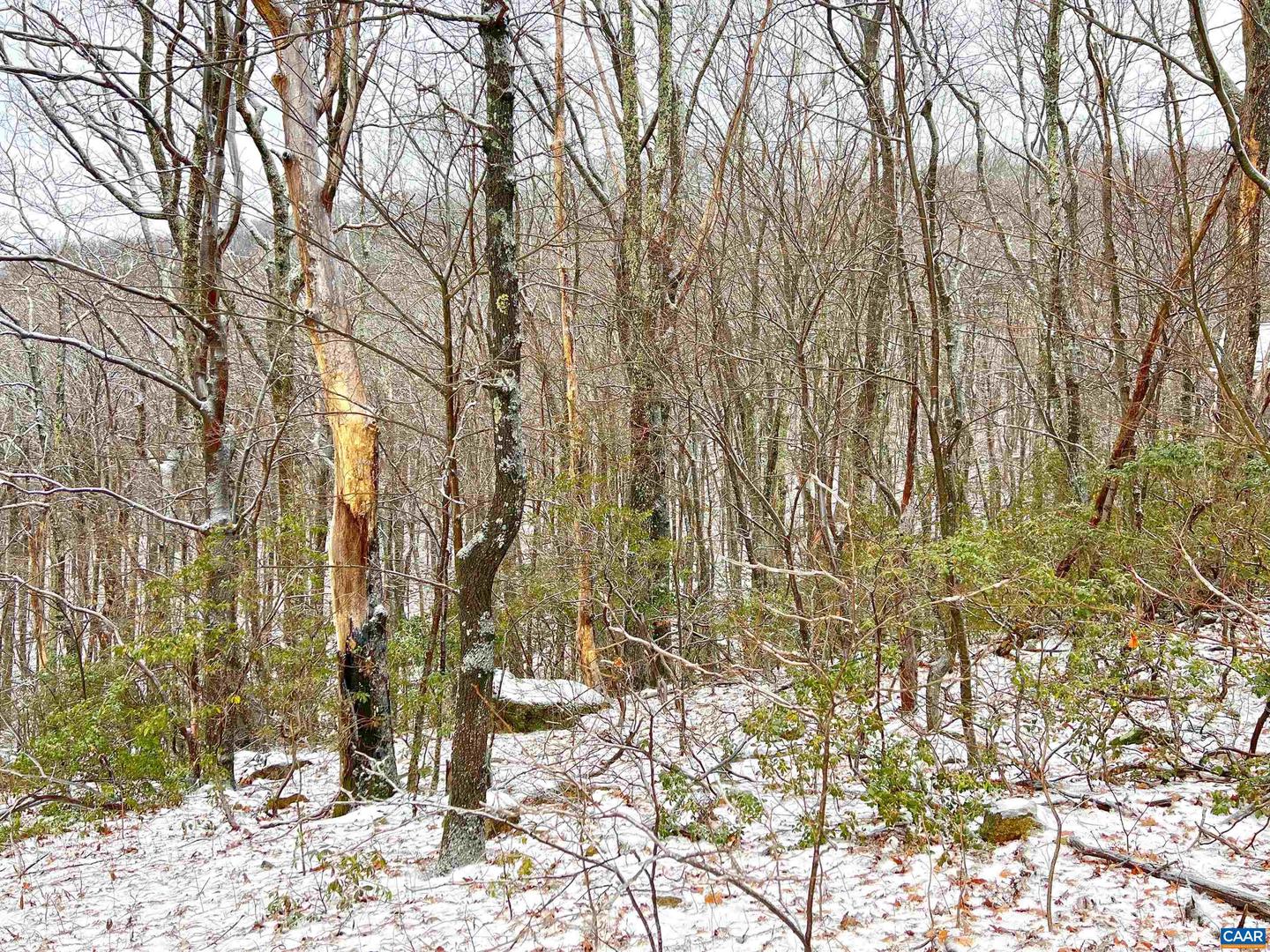 1843 WINTERGREEN DR, WINTERGREEN RESORT, Virginia 22967, ,Land,For sale,1843 WINTERGREEN DR,672447 MLS # 672447