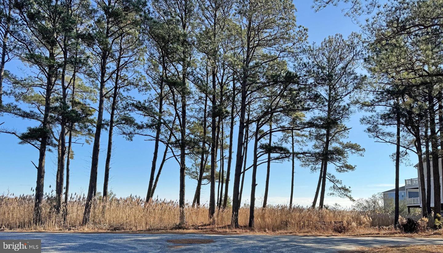 LOT 718 CASTAWAY DR, GREENBACKVILLE, Virginia 23356, ,Land,For sale,LOT 718 CASTAWAY DR,VAAC2002518 MLS # VAAC2002518