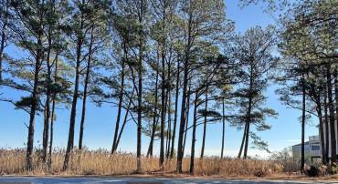 LOT 718 CASTAWAY DR, GREENBACKVILLE, Virginia 23356, ,Land,For sale,LOT 718 CASTAWAY DR,VAAC2002518 MLS # VAAC2002518