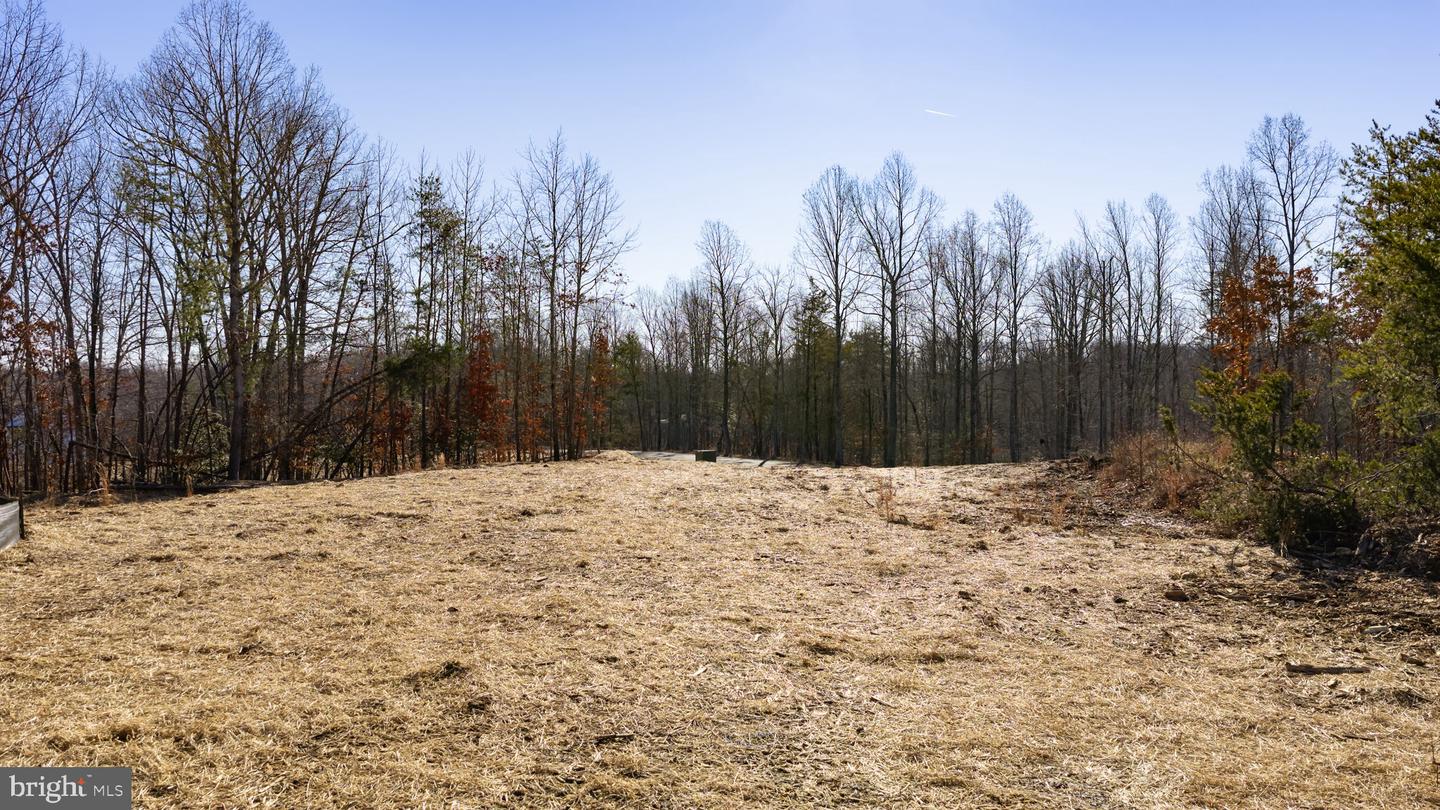 12507 JOSEPHINE LN, FREDERICKSBURG, Virginia 22407, ,Land,For sale,12507 JOSEPHINE LN,VASP2038642 MLS # VASP2038642