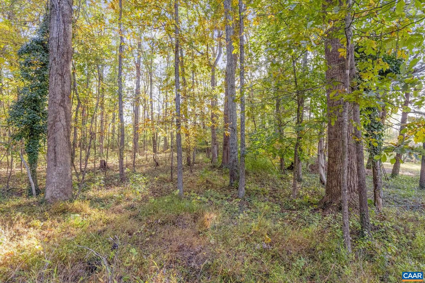 5515 GORDONSVILLE RD, KESWICK, Virginia 22947, 3 Bedrooms Bedrooms, ,2 BathroomsBathrooms,Residential,For sale,5515 GORDONSVILLE RD,670437 MLS # 670437