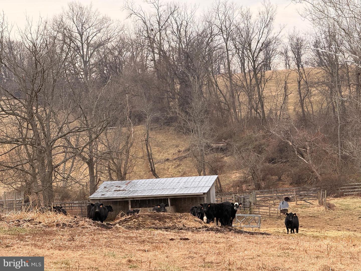 35047 SNICKERSVILLE TPKE, ROUND HILL, Virginia 20141, 4 Bedrooms Bedrooms, ,4 BathroomsBathrooms,Residential,For sale,35047 SNICKERSVILLE TPKE,VALO2111172 MLS # VALO2111172