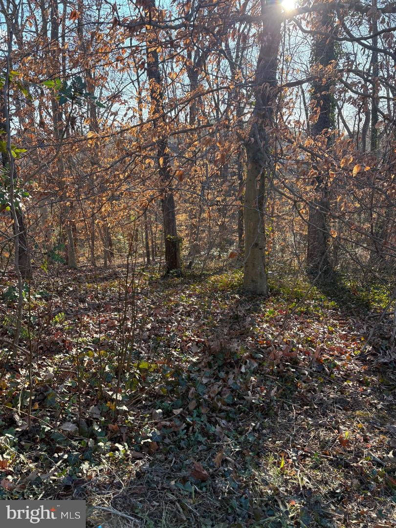 28 RIDGEMORE CIR, FREDERICKSBURG, Virginia 22405, 3 Bedrooms Bedrooms, ,3 BathroomsBathrooms,Residential,For sale,28 RIDGEMORE CIR,VAST2045088 MLS # VAST2045088 28 RIDGEMORE CIR, FREDERICKSBURG, Virginia 22405, 3 Bedrooms Bedrooms, ,3 BathroomsBathrooms,Residential,For sale,28 RIDGEMORE CIR,VAST2045088 MLS # VAST2045088