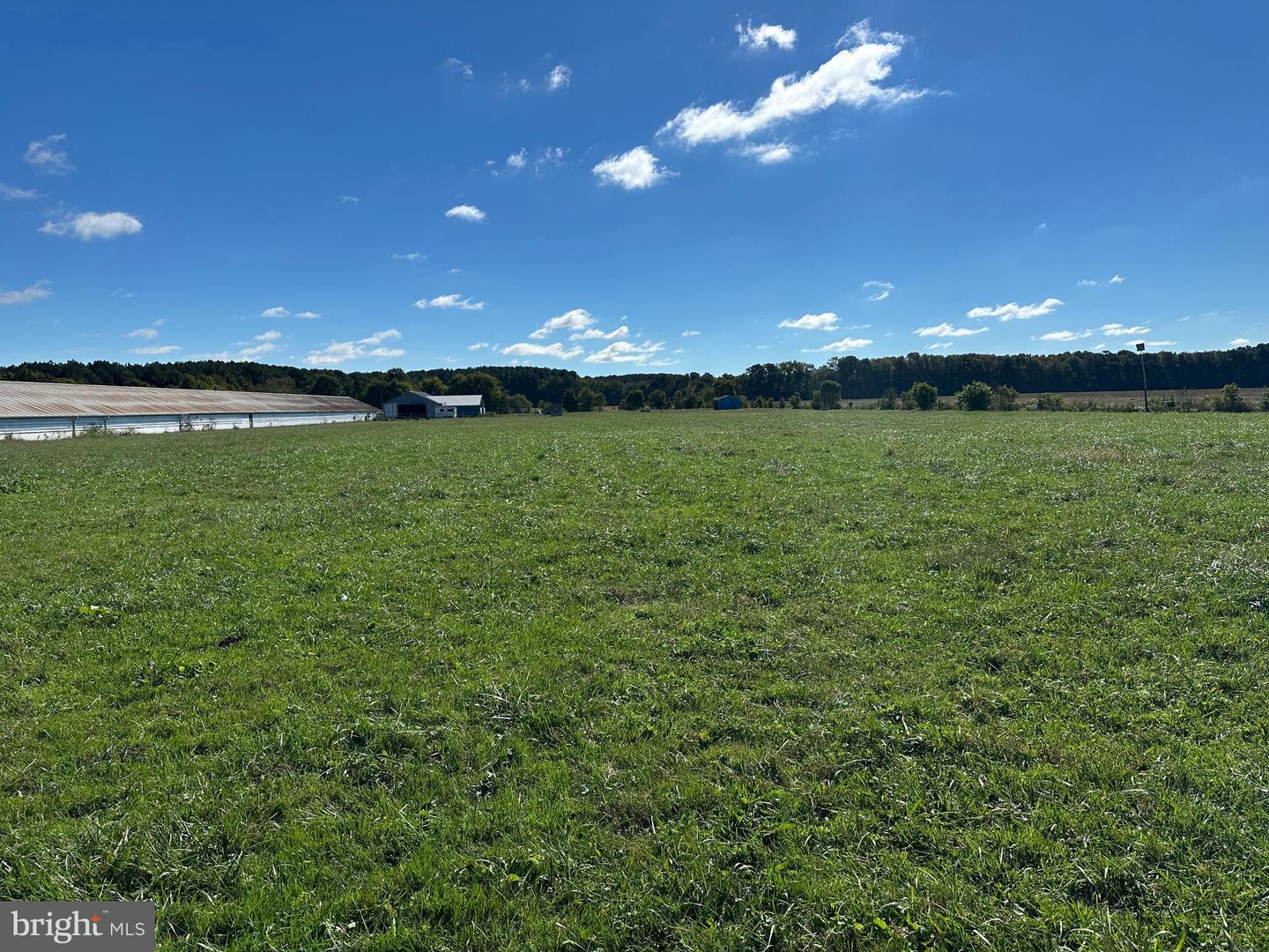 17311 BIG RD, BLOXOM, Virginia 23308, 2 Bedrooms Bedrooms, ,2 BathroomsBathrooms,Farm,For sale,17311 BIG RD,VAAC2002374 MLS # VAAC2002374