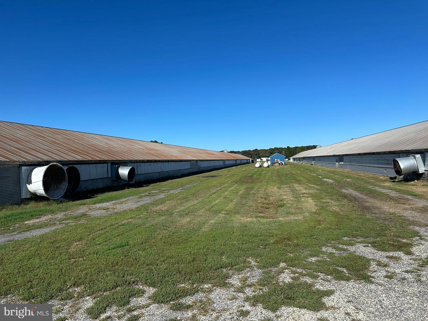 17311 BIG RD, BLOXOM, Virginia 23308, 2 Bedrooms Bedrooms, ,2 BathroomsBathrooms,Farm,For sale,17311 BIG RD,VAAC2002374 MLS # VAAC2002374