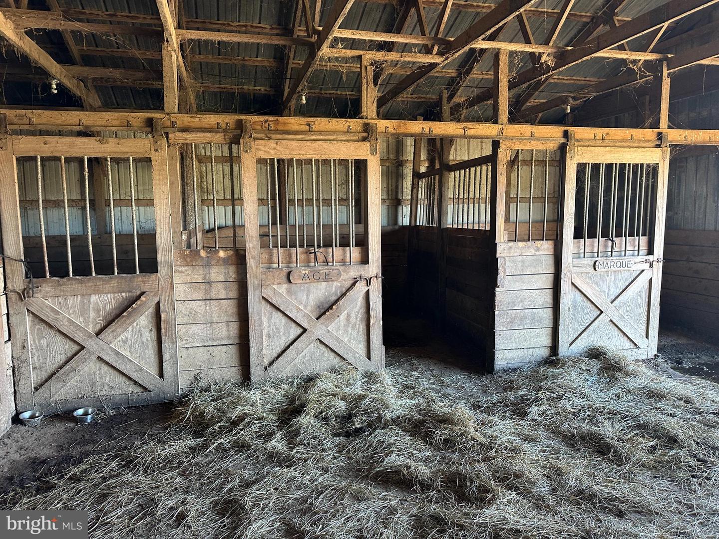 17311 BIG RD, BLOXOM, Virginia 23308, 2 Bedrooms Bedrooms, ,2 BathroomsBathrooms,Farm,For sale,17311 BIG RD,VAAC2002374 MLS # VAAC2002374