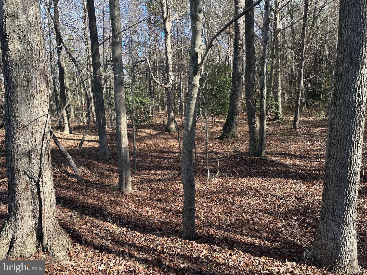 0 LANKFORD HWY, TEMPERANCEVILLE, Virginia 23442, ,Land,For sale,0 LANKFORD HWY,VAAC2002482 MLS # VAAC2002482