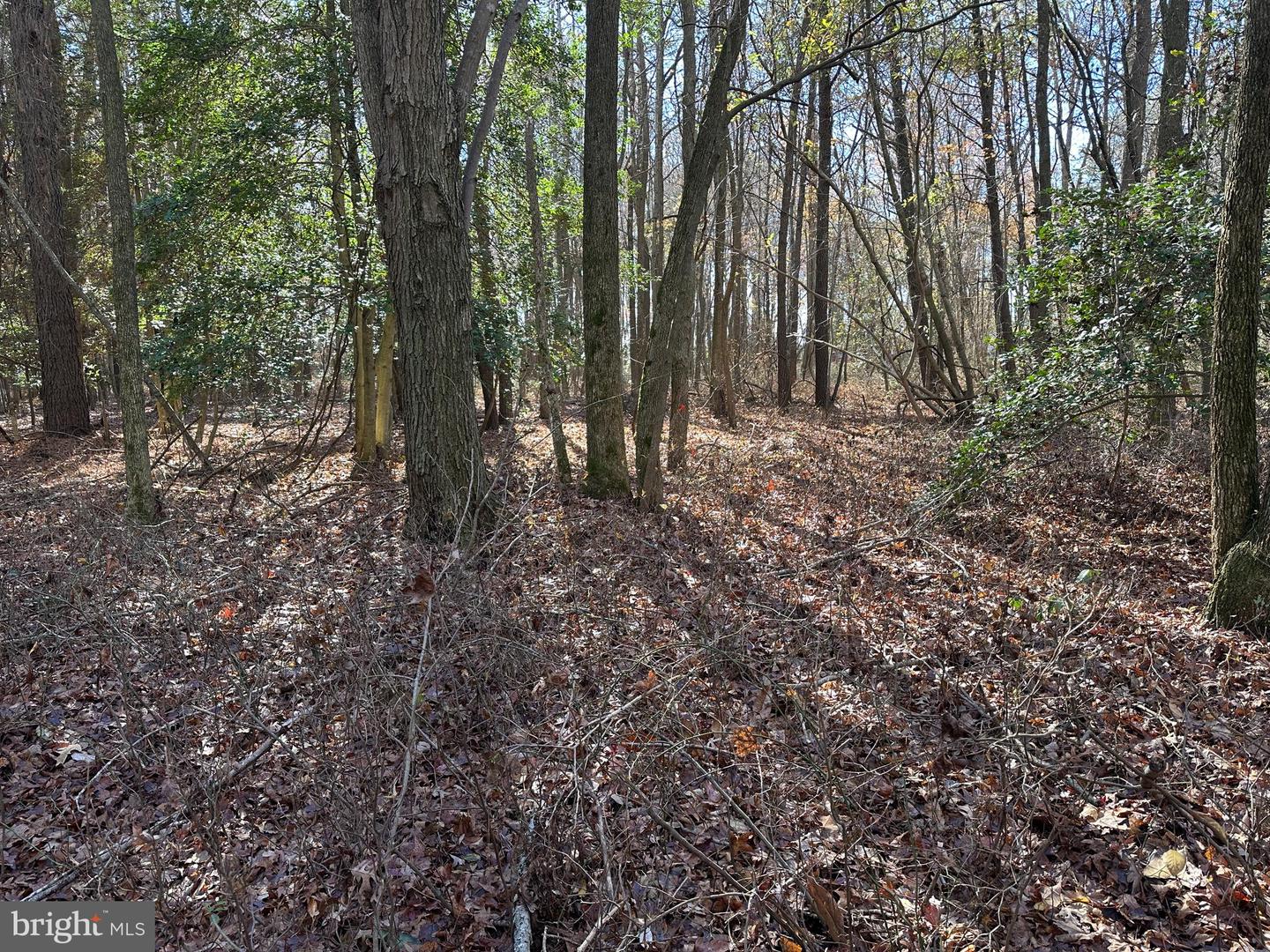 0 LANKFORD HWY, TEMPERANCEVILLE, Virginia 23442, ,Land,For sale,0 LANKFORD HWY,VAAC2002482 MLS # VAAC2002482