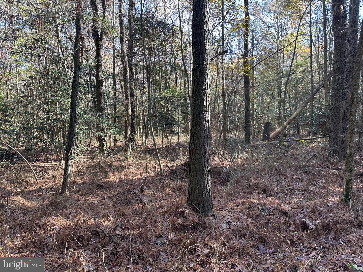 0 LANKFORD HWY, TEMPERANCEVILLE, Virginia 23442, ,Land,For sale,0 LANKFORD HWY,VAAC2002482 MLS # VAAC2002482