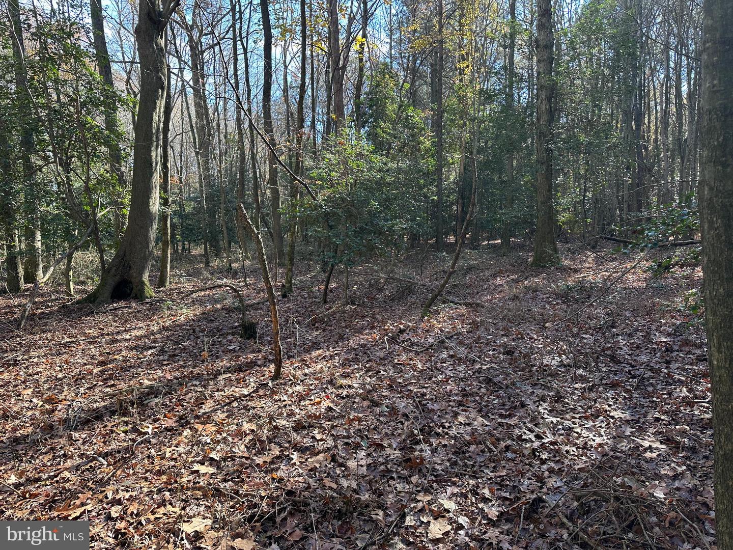 0 LANKFORD HWY, TEMPERANCEVILLE, Virginia 23442, ,Land,For sale,0 LANKFORD HWY,VAAC2002482 MLS # VAAC2002482