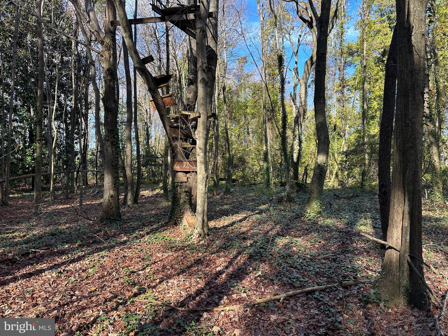 0 LANKFORD HWY, TEMPERANCEVILLE, Virginia 23442, ,Land,For sale,0 LANKFORD HWY,VAAC2002482 MLS # VAAC2002482