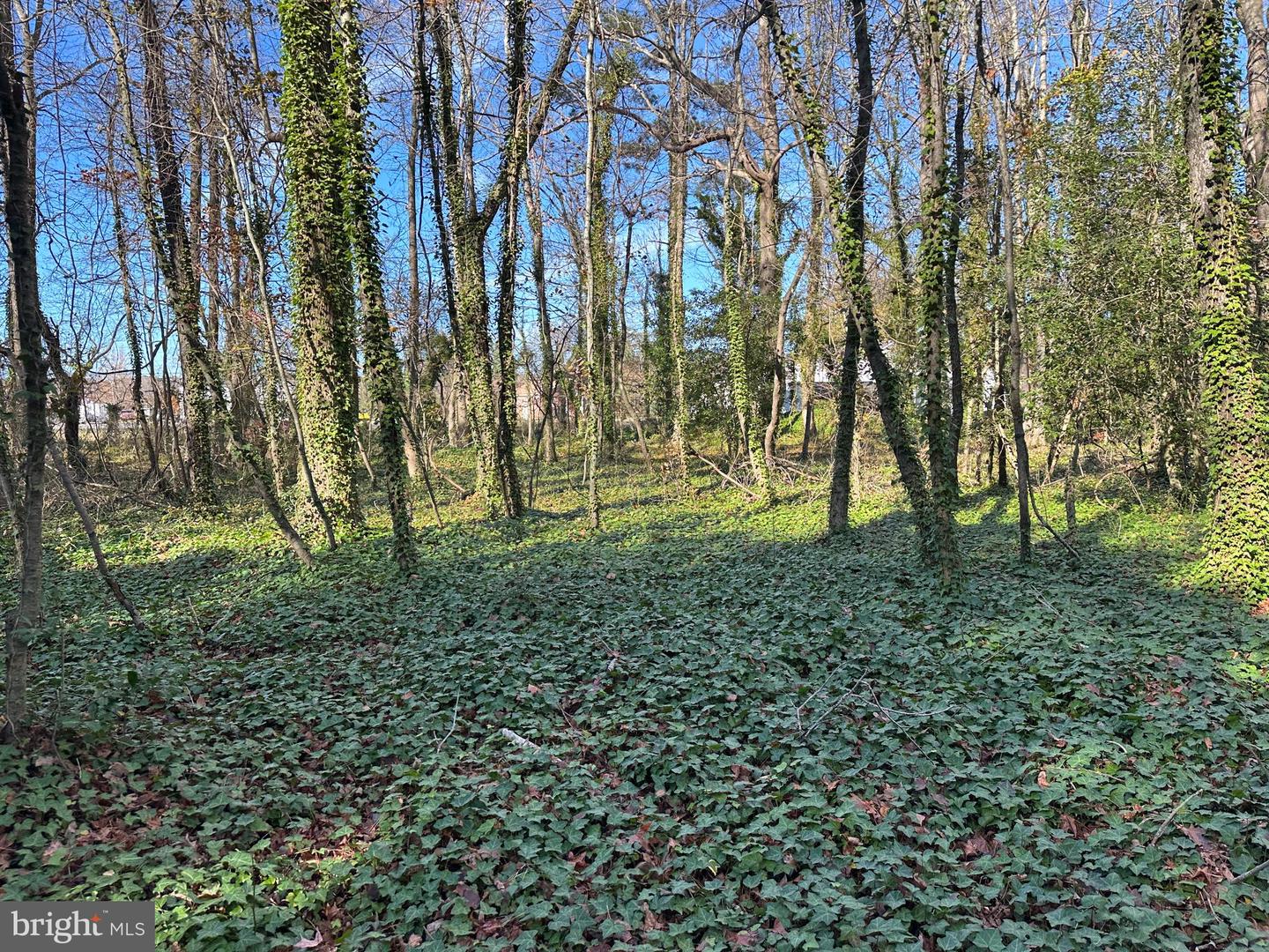 0 LANKFORD HWY, TEMPERANCEVILLE, Virginia 23442, ,Land,For sale,0 LANKFORD HWY,VAAC2002482 MLS # VAAC2002482