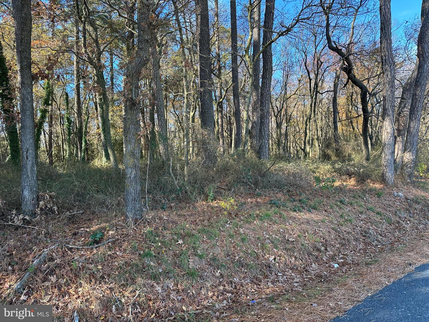 0 LANKFORD HWY, TEMPERANCEVILLE, Virginia 23442, ,Land,For sale,0 LANKFORD HWY,VAAC2002482 MLS # VAAC2002482