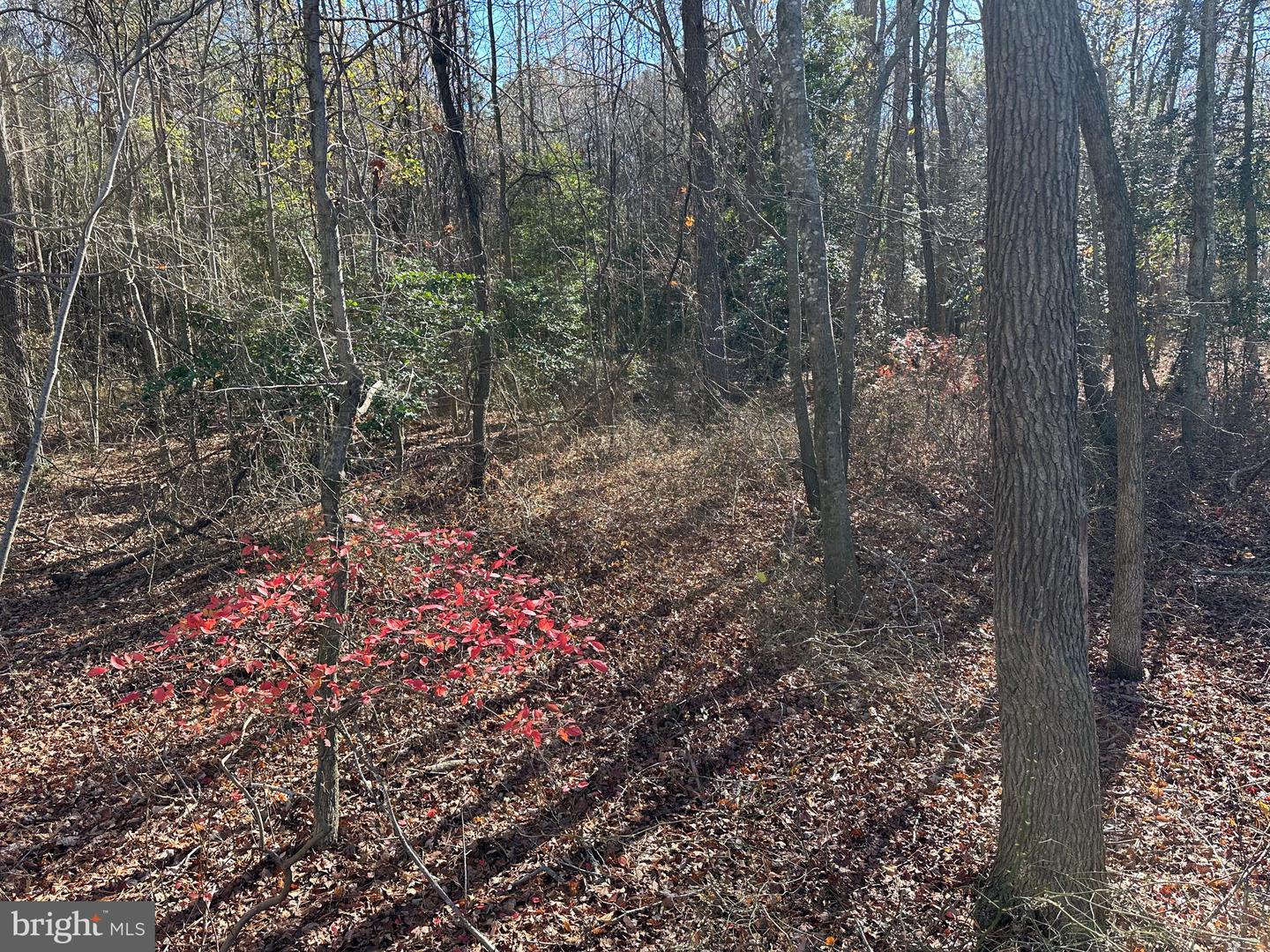 0 LANKFORD HWY, TEMPERANCEVILLE, Virginia 23442, ,Land,For sale,0 LANKFORD HWY,VAAC2002482 MLS # VAAC2002482