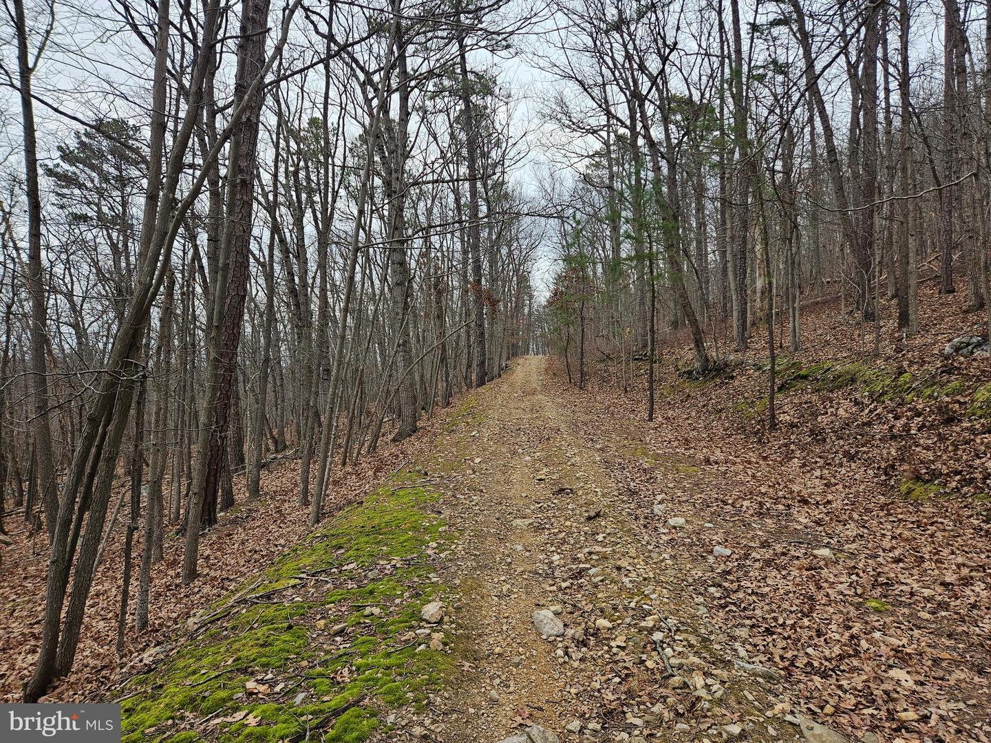 CHAPMAN LN, BOYCE, Virginia 22620, ,Land,For sale,CHAPMAN LN,VACL2006294 MLS # VACL2006294