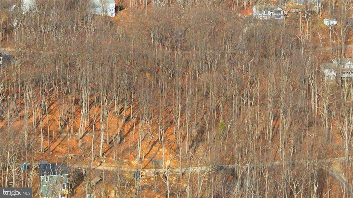 LOT 23 PANTHER DR, WINCHESTER, Virginia 22602, ,Land,For sale,LOT 23 PANTHER DR,VAFV2038888 MLS # VAFV2038888