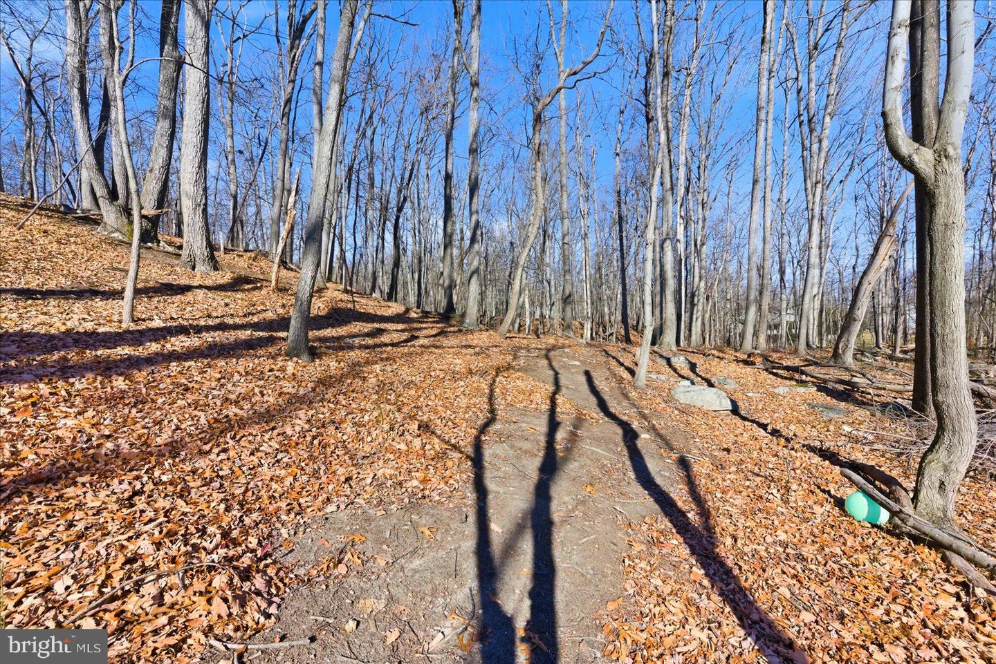 LOT 23 PANTHER DR, WINCHESTER, Virginia 22602, ,Land,For sale,LOT 23 PANTHER DR,VAFV2038888 MLS # VAFV2038888