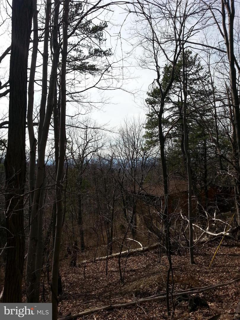 KITS CT, FRONT ROYAL, Virginia 22630, ,Land,For sale,KITS CT,VAWR2013120 MLS # VAWR2013120