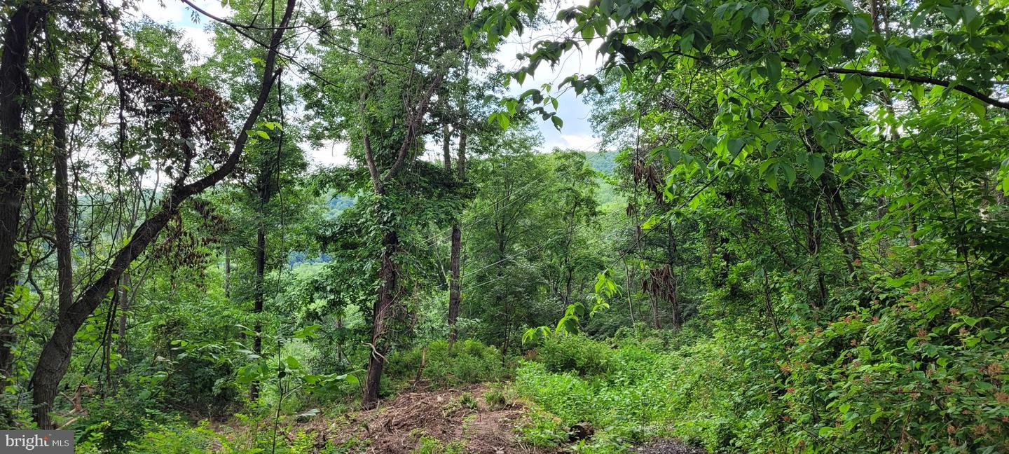 KITS CT, FRONT ROYAL, Virginia 22630, ,Land,For sale,KITS CT,VAWR2013120 MLS # VAWR2013120