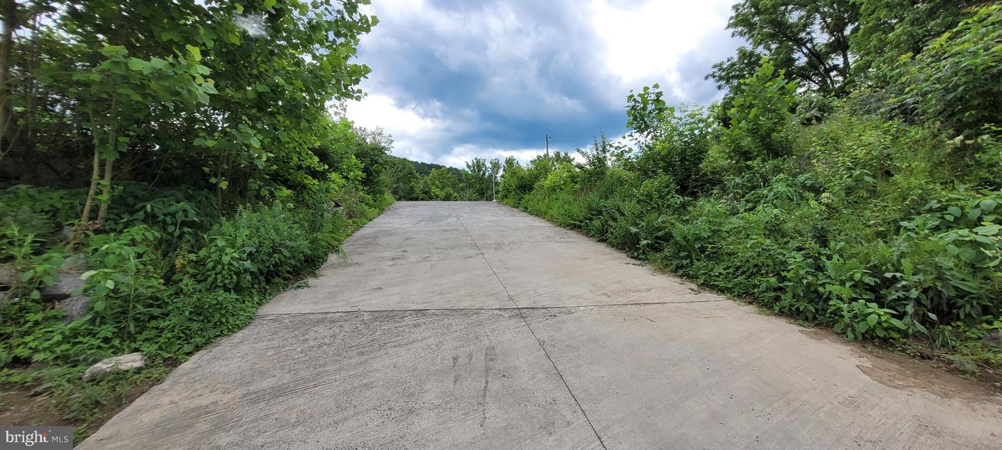 KITS CT, FRONT ROYAL, Virginia 22630, ,Land,For sale,KITS CT,VAWR2013120 MLS # VAWR2013120