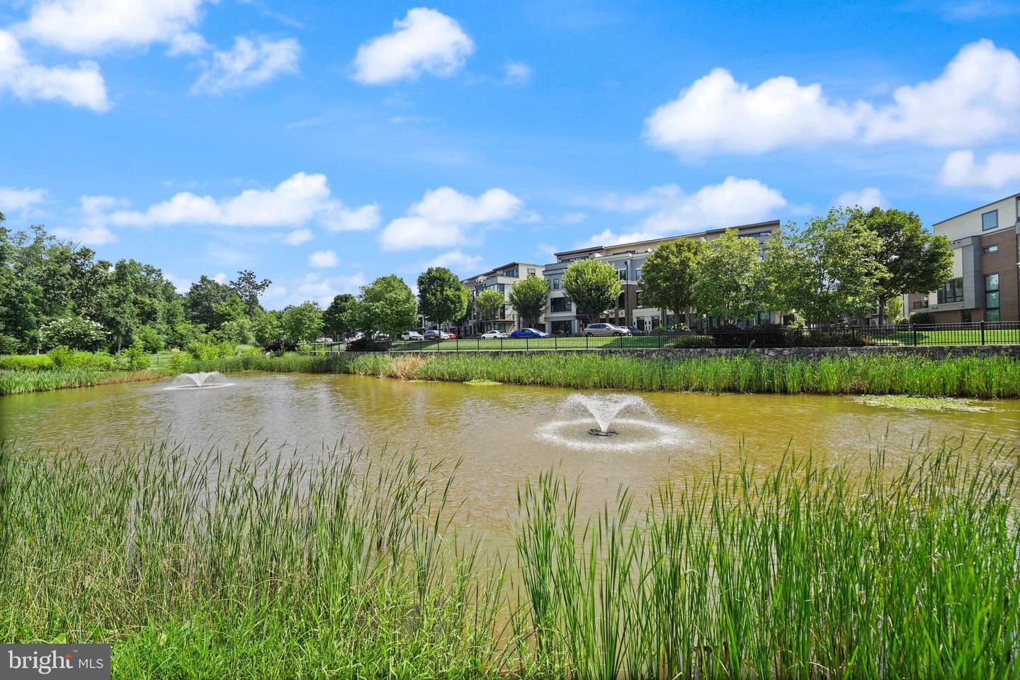 20254 NORTHPARK DR, ASHBURN, Virginia 20147, 5 Bedrooms Bedrooms, ,4 BathroomsBathrooms,Residential,For sale,20254 NORTHPARK DR,VALO2112018 MLS # VALO2112018