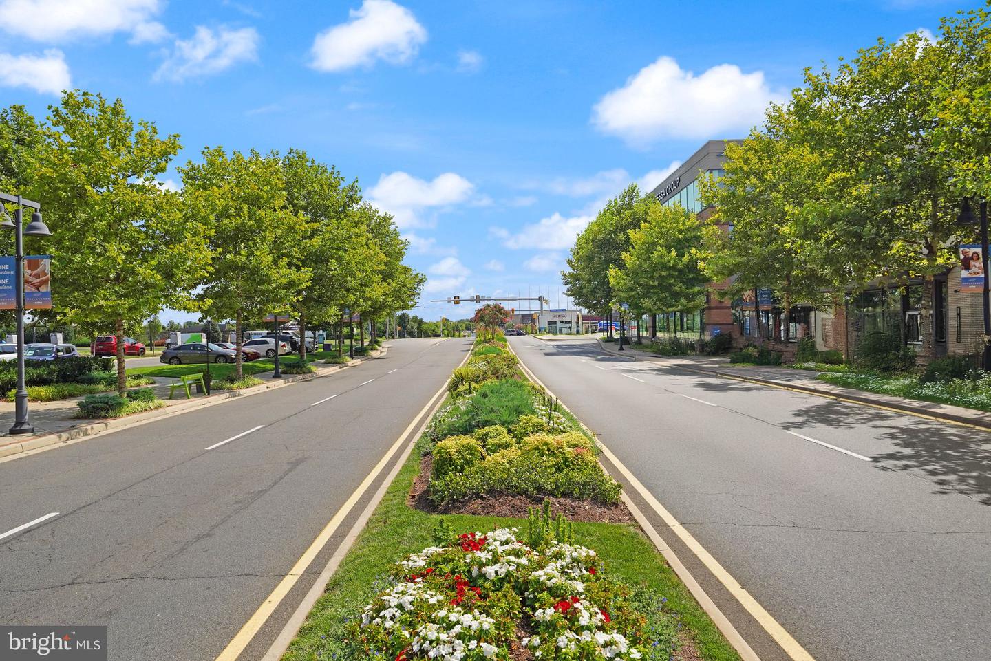 20254 NORTHPARK DR, ASHBURN, Virginia 20147, 5 Bedrooms Bedrooms, ,4 BathroomsBathrooms,Residential,For sale,20254 NORTHPARK DR,VALO2112018 MLS # VALO2112018