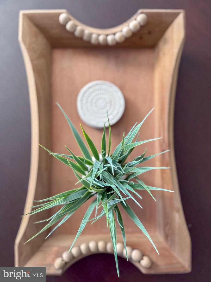 210 REMINGTON DR, RUTHER GLEN, Virginia 22546, 3 Bedrooms Bedrooms, ,2 BathroomsBathrooms,Residential,For sale,210 REMINGTON DR,VACV2009388 MLS # VACV2009388