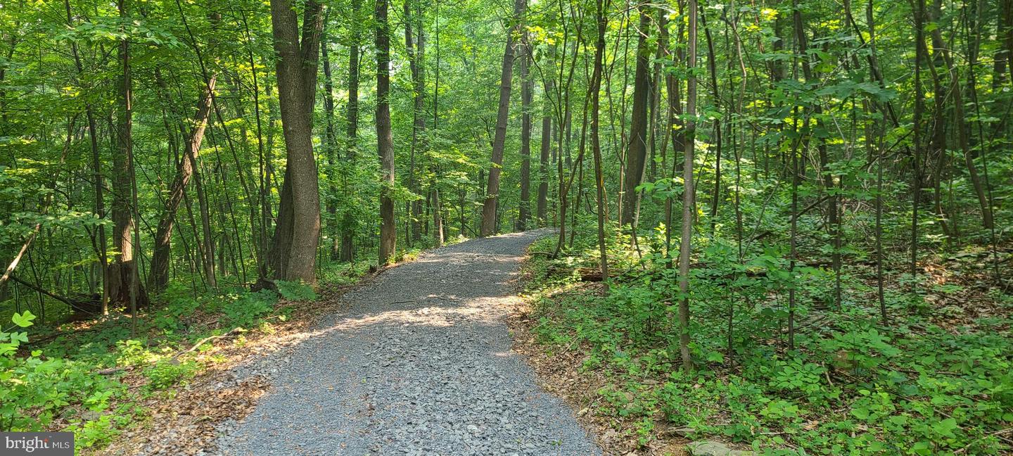 MOSBY SPRING LN, LINDEN, Virginia 22642, ,Land,For sale,MOSBY SPRING LN,VAWR2013118 MLS # VAWR2013118