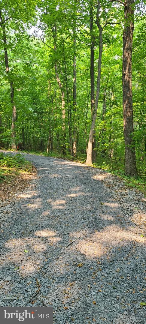 MOSBY SPRING LN, LINDEN, Virginia 22642, ,Land,For sale,MOSBY SPRING LN,VAWR2013118 MLS # VAWR2013118