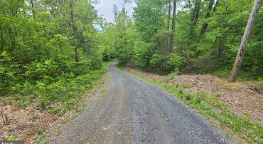 MOSBY SPRING LN, LINDEN, Virginia 22642, ,Land,For sale,MOSBY SPRING LN,VAWR2013118 MLS # VAWR2013118