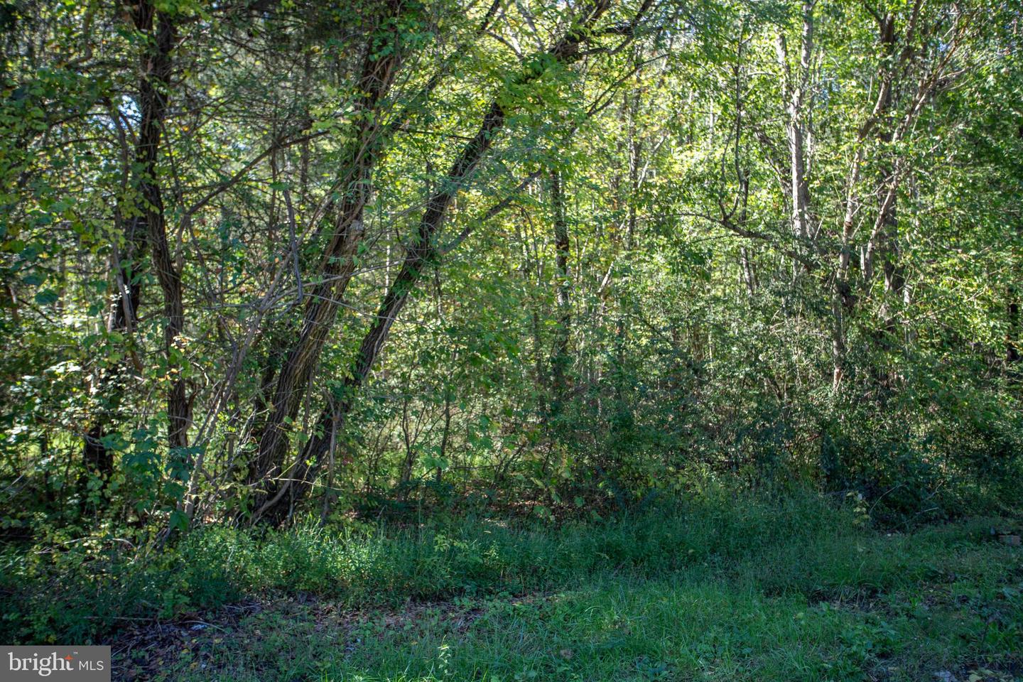 TBD RICHMOND HWY #1, GLADSTONE, Virginia 24553, ,Land,For sale,TBD RICHMOND HWY #1,VANL2000620 MLS # VANL2000620