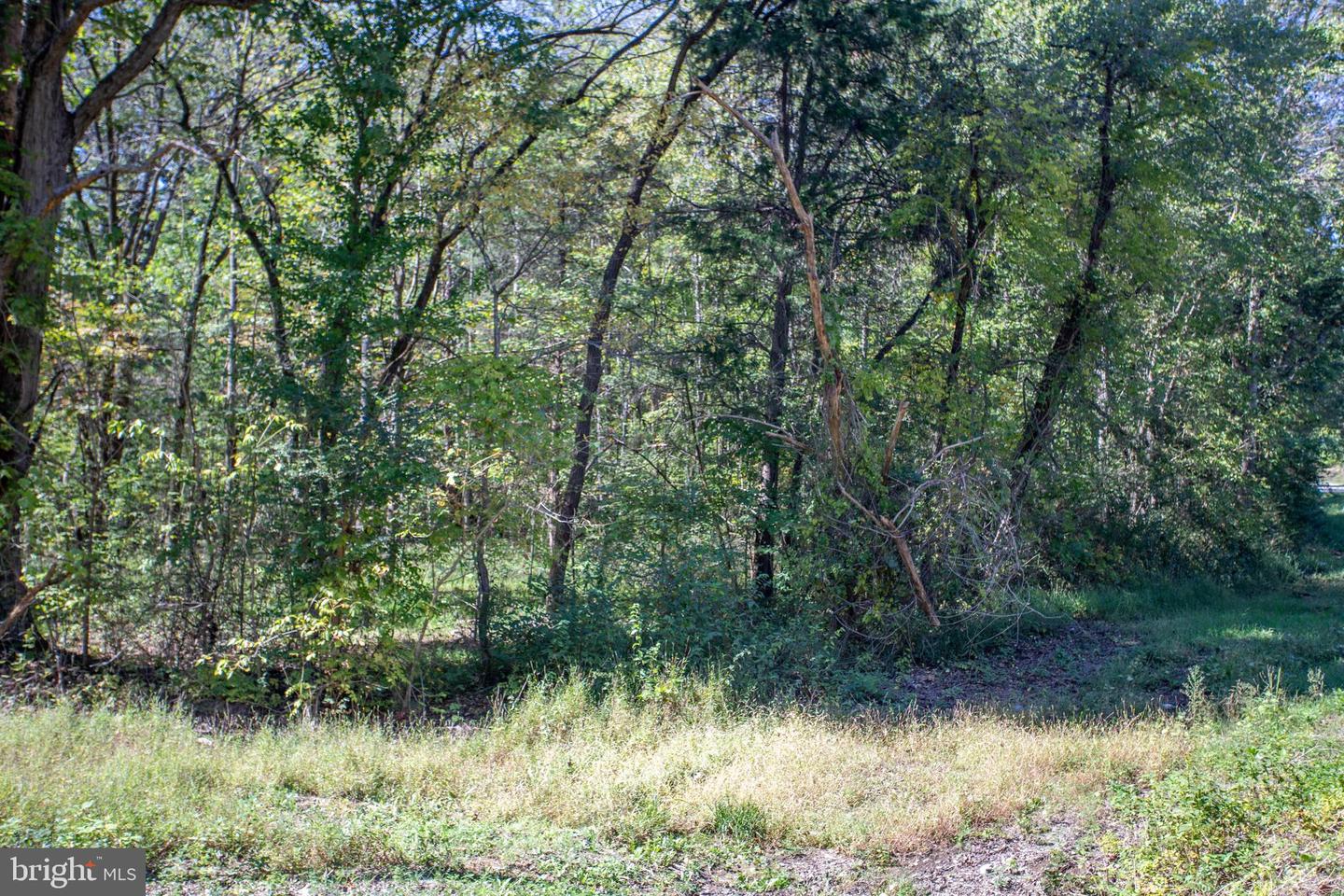 TBD RICHMOND HWY #1, GLADSTONE, Virginia 24553, ,Land,For sale,TBD RICHMOND HWY #1,VANL2000620 MLS # VANL2000620