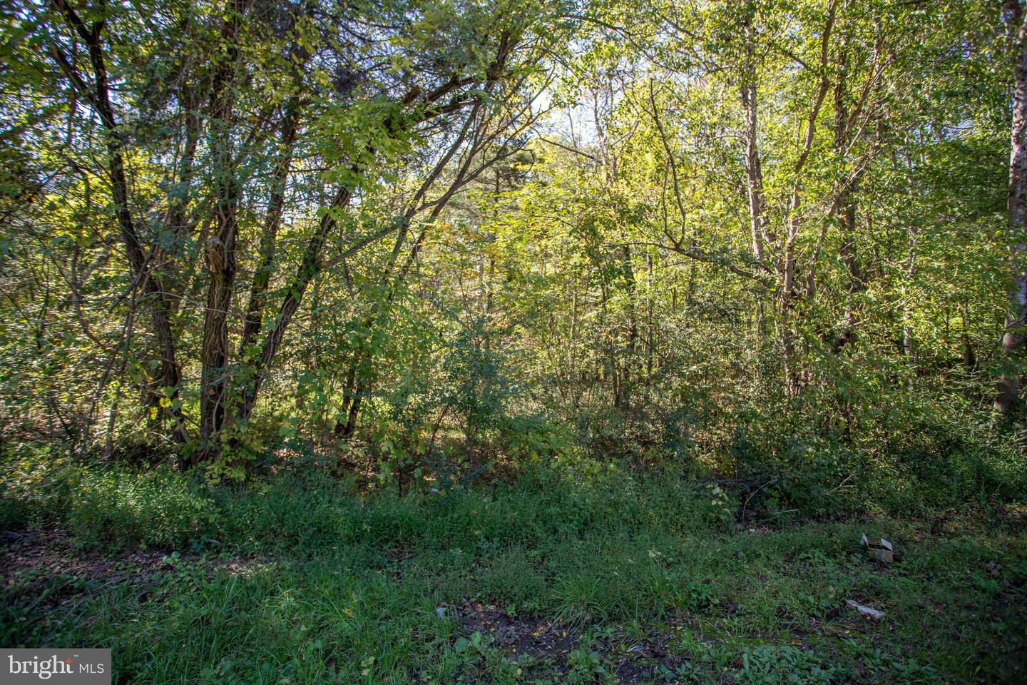 TBD RICHMOND HWY #1, GLADSTONE, Virginia 24553, ,Land,For sale,TBD RICHMOND HWY #1,VANL2000620 MLS # VANL2000620