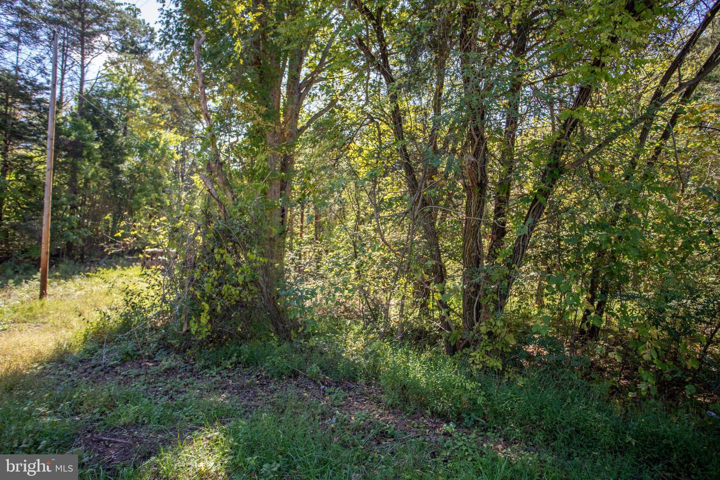 TBD RICHMOND HWY #1, GLADSTONE, Virginia 24553, ,Land,For sale,TBD RICHMOND HWY #1,VANL2000620 MLS # VANL2000620