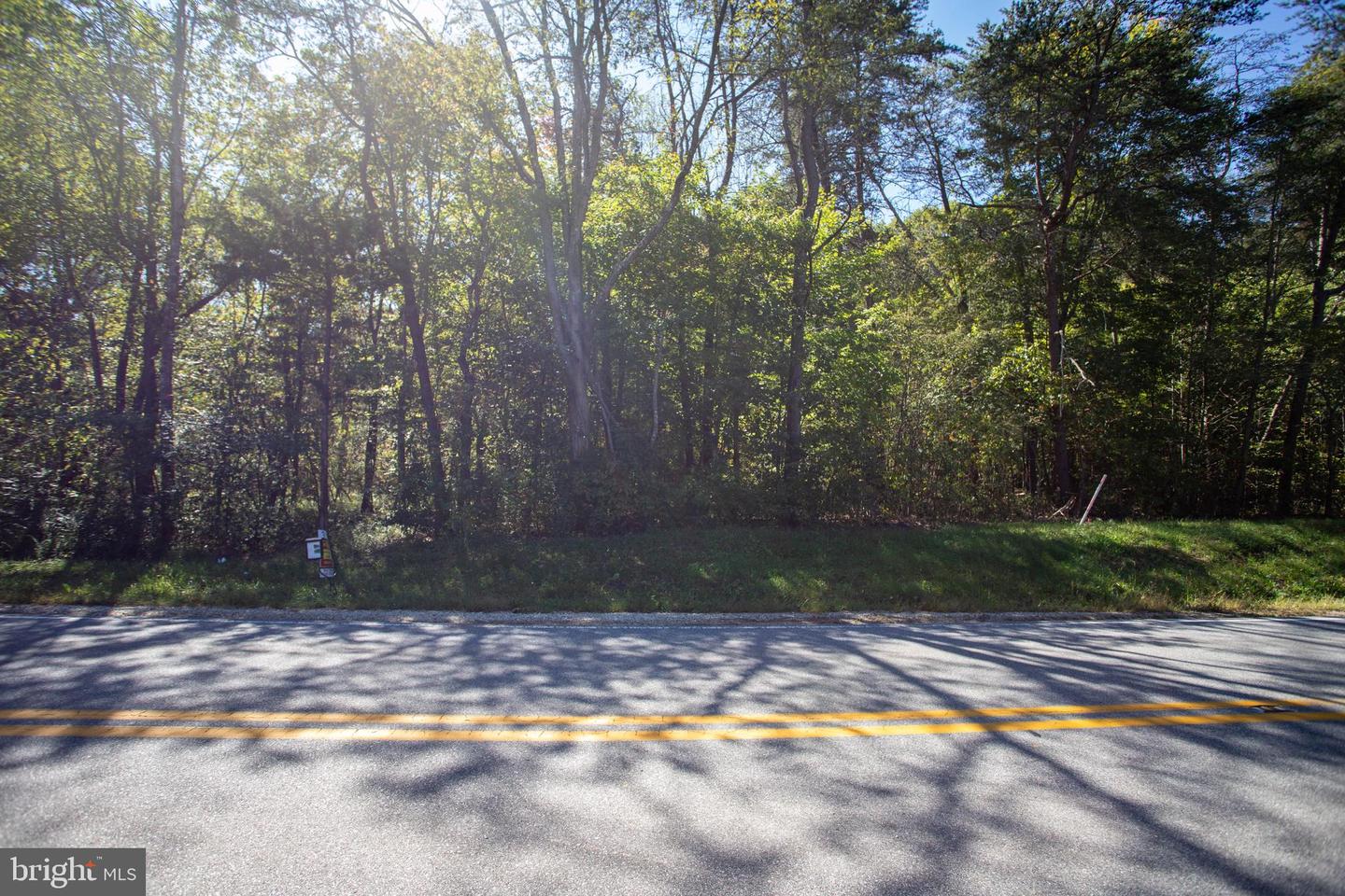 TBD RICHMOND HWY #1, GLADSTONE, Virginia 24553, ,Land,For sale,TBD RICHMOND HWY #1,VANL2000620 MLS # VANL2000620