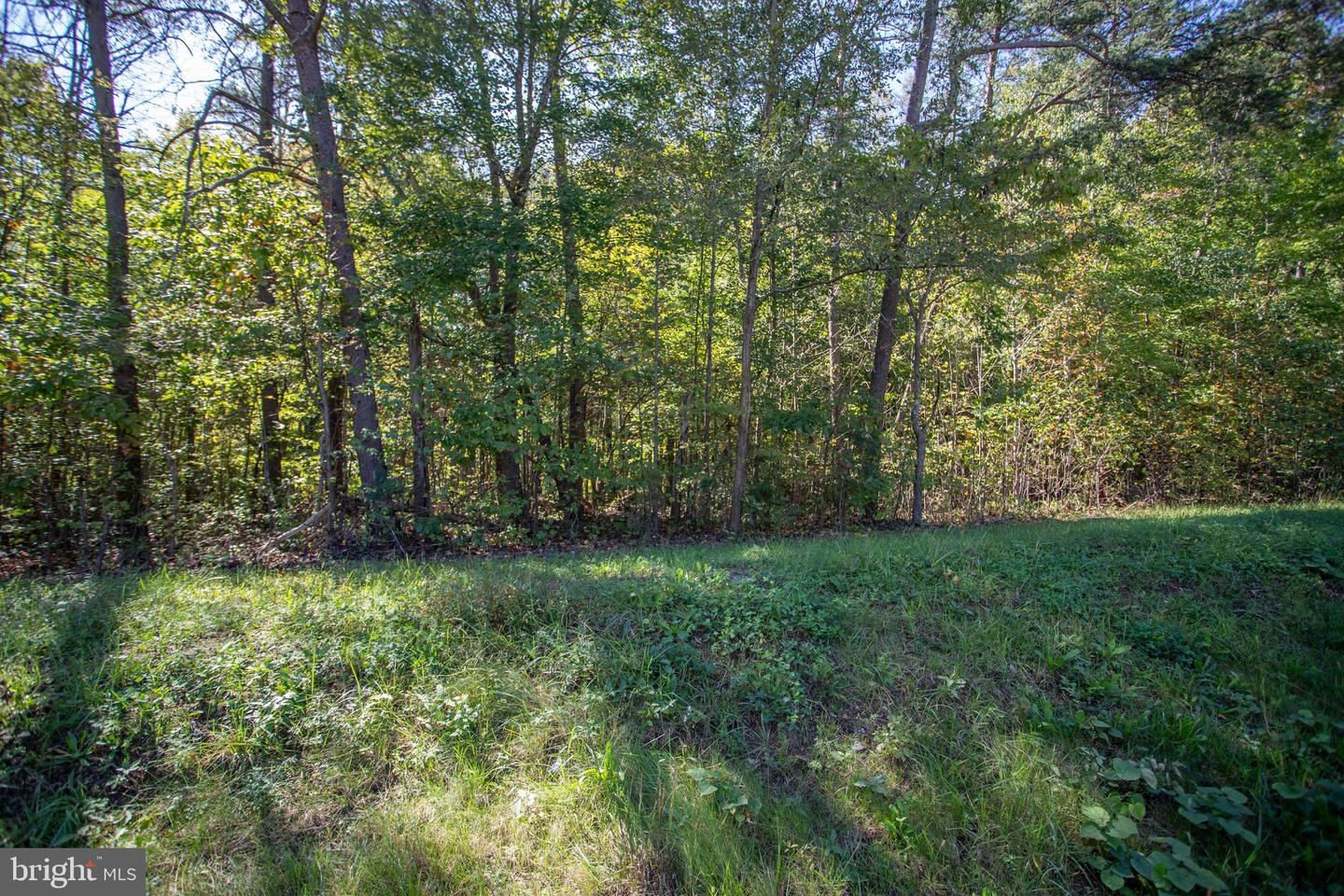 TBD RICHMOND HWY #1, GLADSTONE, Virginia 24553, ,Land,For sale,TBD RICHMOND HWY #1,VANL2000620 MLS # VANL2000620