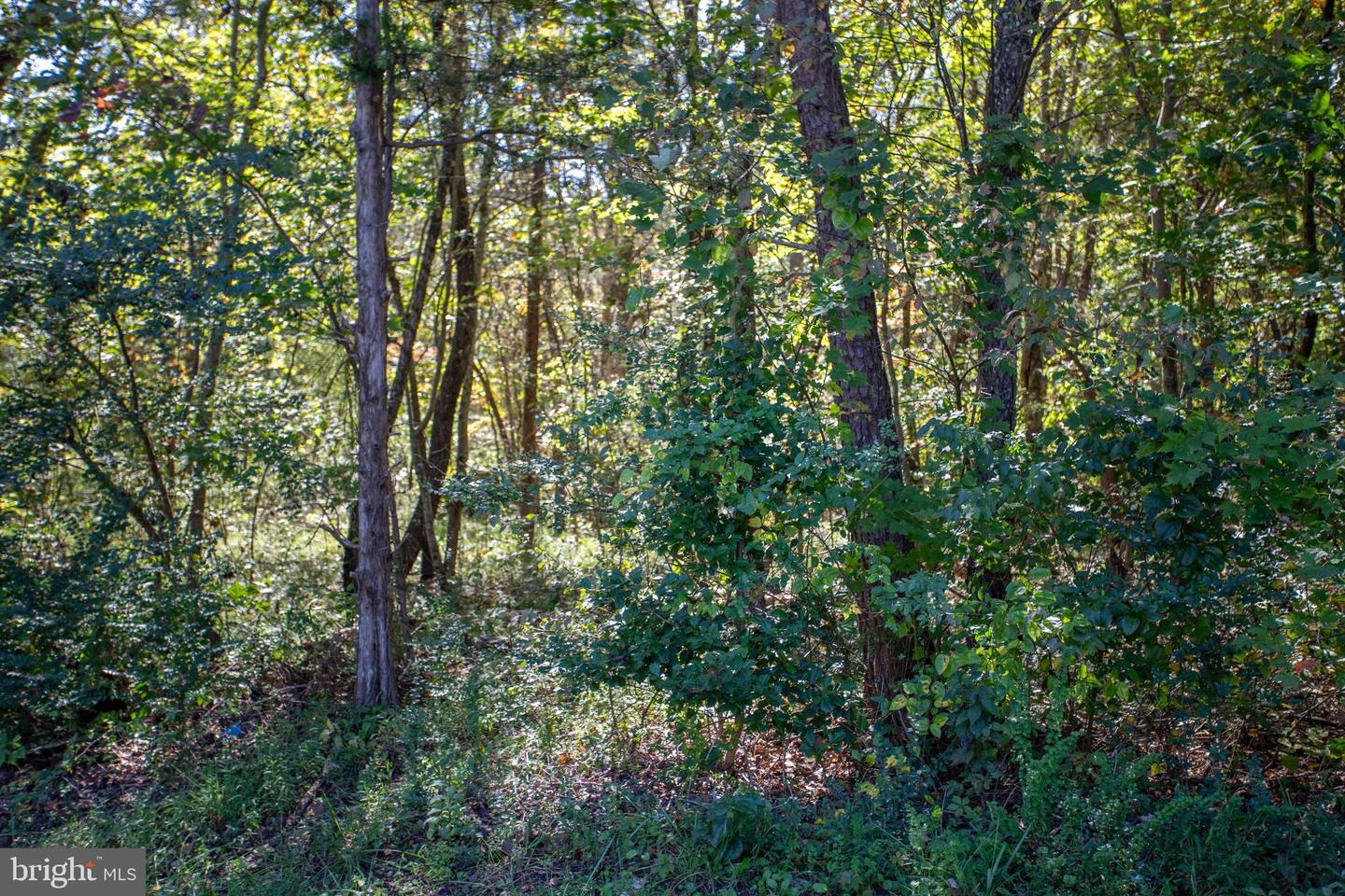 TBD RICHMOND HWY #1, GLADSTONE, Virginia 24553, ,Land,For sale,TBD RICHMOND HWY #1,VANL2000620 MLS # VANL2000620