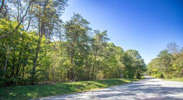 TBD RICHMOND HWY #1, GLADSTONE, Virginia 24553, ,Land,For sale,TBD RICHMOND HWY #1,VANL2000620 MLS # VANL2000620
