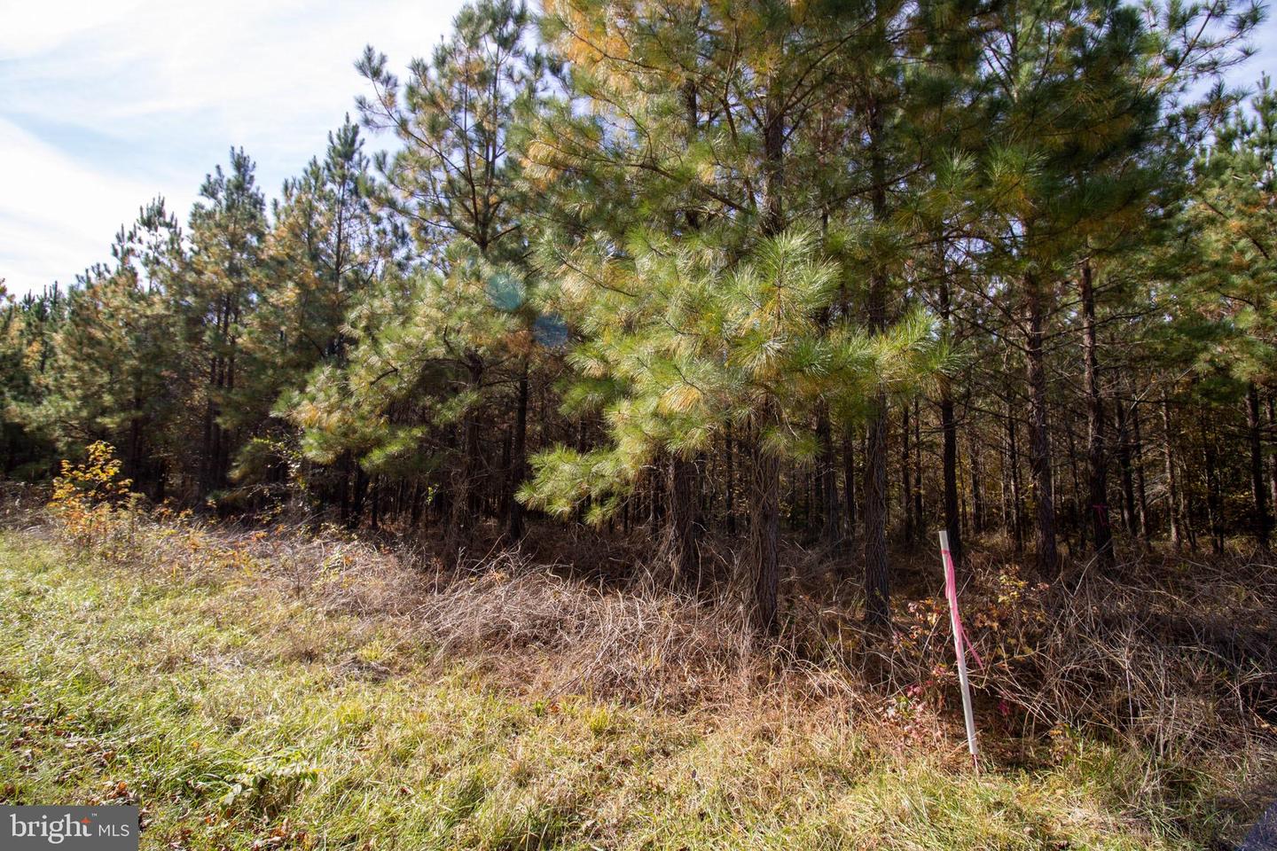 RABAT #8130-1, NATHALIE, Virginia 24577, ,Land,For sale,RABAT #8130-1,VAHX2000152 MLS # VAHX2000152 RABAT #8130-1, NATHALIE, Virginia 24577, ,Land,For sale,RABAT #8130-1,VAHX2000152 MLS # VAHX2000152