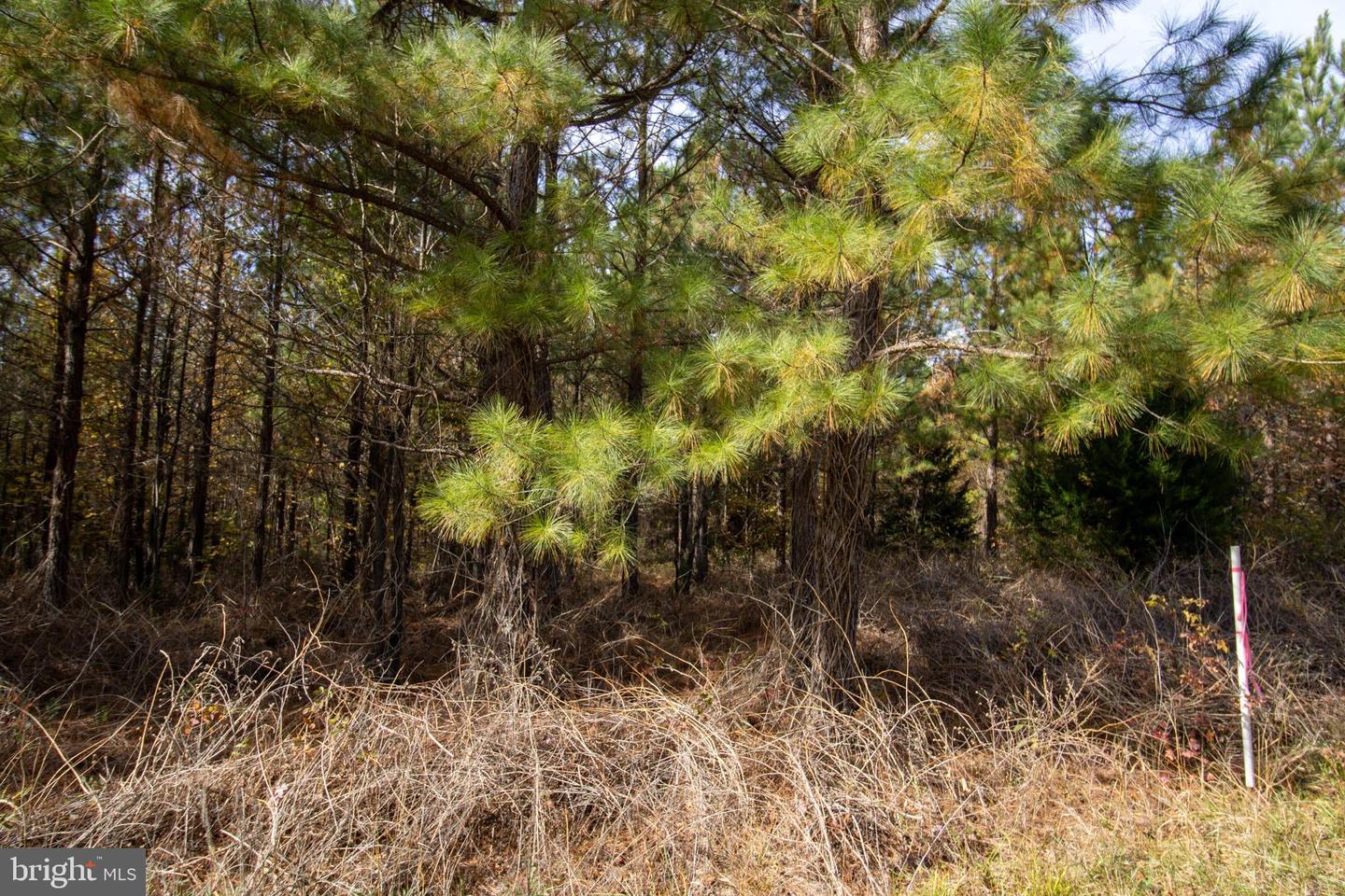 RABAT #8130-1, NATHALIE, Virginia 24577, ,Land,For sale,RABAT #8130-1,VAHX2000152 MLS # VAHX2000152 RABAT #8130-1, NATHALIE, Virginia 24577, ,Land,For sale,RABAT #8130-1,VAHX2000152 MLS # VAHX2000152